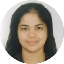 Civil Engineer