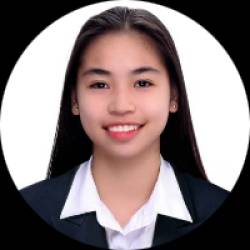 Customer service representative expert