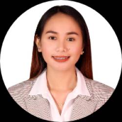 Audit Analyst