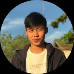Online assistant/Software Engineer