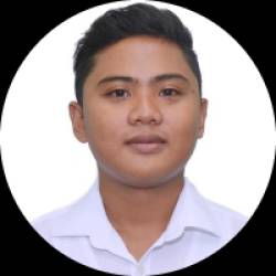 Project Engineer