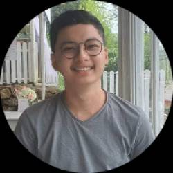 WordPress Developer