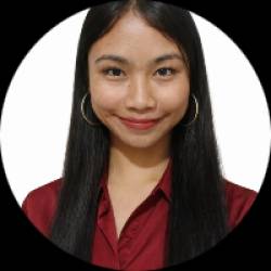 Project Management Office (PMO) Assistant