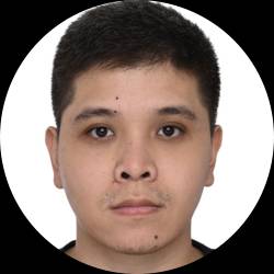 Software Developer/Engineer