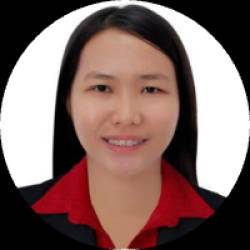 Electrical Engineer