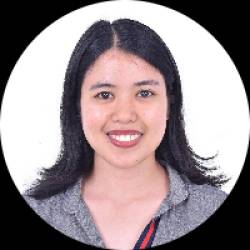 Business Application Consultant (ERP) and IT Auditor
