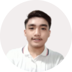 Freelancer