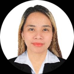 IT Professional