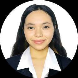 Project Manager