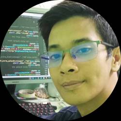 WEB DEVELOPER / PROGRAMMER
