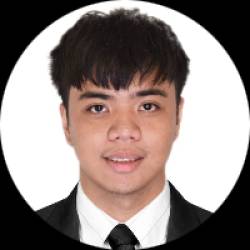 IT Specialist
