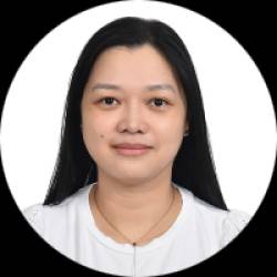 IT Project Manager