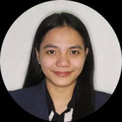 Mechanical Engineer