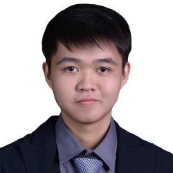 IT Professional