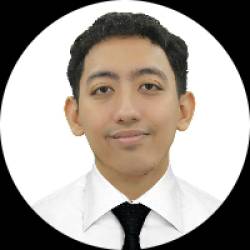 Developer