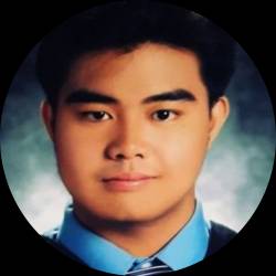 Software Developer