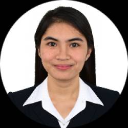 Software Test Engineer II