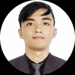 Power Platform Developer
