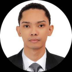 Software Developer