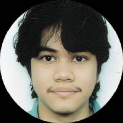 Software Developer
