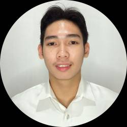 PROFESSIONAL VIDEO EDITOR