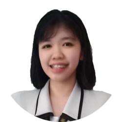 IT Project Manager / Technical Support