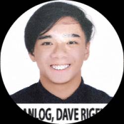 Virtual assistant (Expert online data entry)