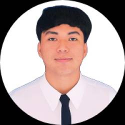Software Developer