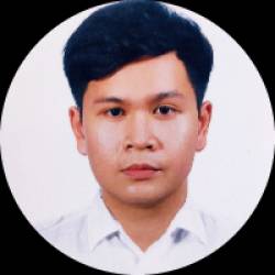 IT PROFESSIONAL