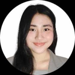 Consulting and Software developer