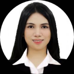 Civil Engineer