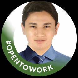 Software Test Engineer