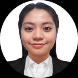 Virtual Assistant with IT Support, Administrative, and Custo