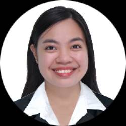 Financial Audit Analyst