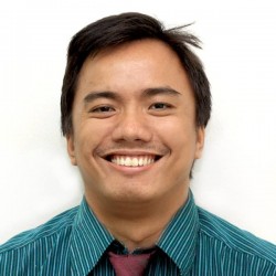 Project Manager, Business Analyst, Enterprise Architect