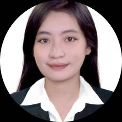 Civil Engineer/Product Analyst