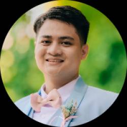 ERP Developer/Data Engineer