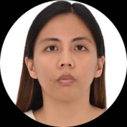 Software Developer