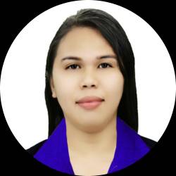 Software Engineer | NetSuite Developer