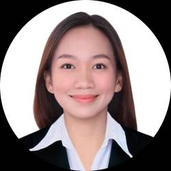 Civil Engineer