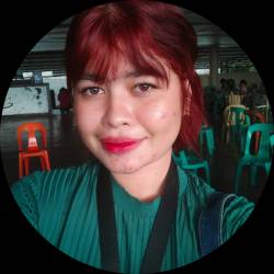 Content Writer