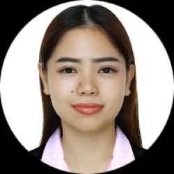 Physical Therapist
