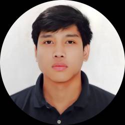 Data Analyst