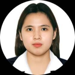 Electronics Engineer/ Electronics Technician