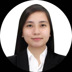Technical Architect/Application Support Analyst