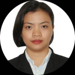 Partner Incentives Analyst