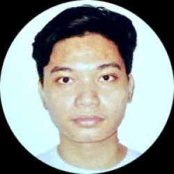 Application Developer