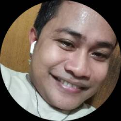 Freelance Developer