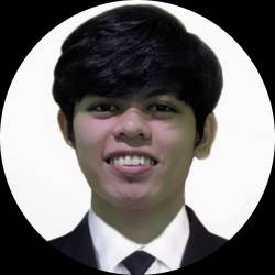Finance Auditor