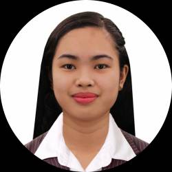 Executive Virtual Assistant